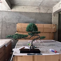 不锈钢松树雕塑，形象生动逼真