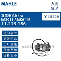 德国MAHLE 11.213.186直流电机Iskra IM3011 AMK6119