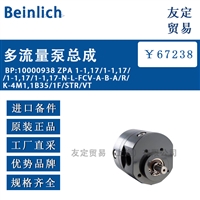 Beinlich BP:10000938 ZPA 1-1,17/1-1,17/多流量泵总成