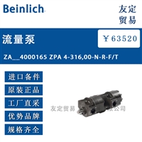 Beinlich ZA__4000165 ZPA 4-316,00-N-R-F/T流量泵