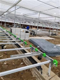 全自动物流苗床怎样优化 温室大棚作业效率