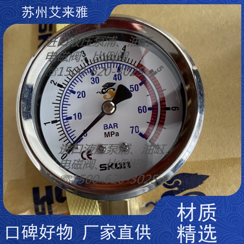 SKON压力表6000BAR PT1/4高精度液位计油压表