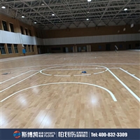 斯博凯 五角枫木 多场地可定制 运动木地板 单层龙骨超耐磨