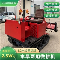 多功能履带旋耕机小型农用微耕机 水田打浆耙地翻地水旱两用拖拉机
