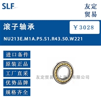 SLF NU213E.M1A.P5.S1.R43.50.W221滚子轴承