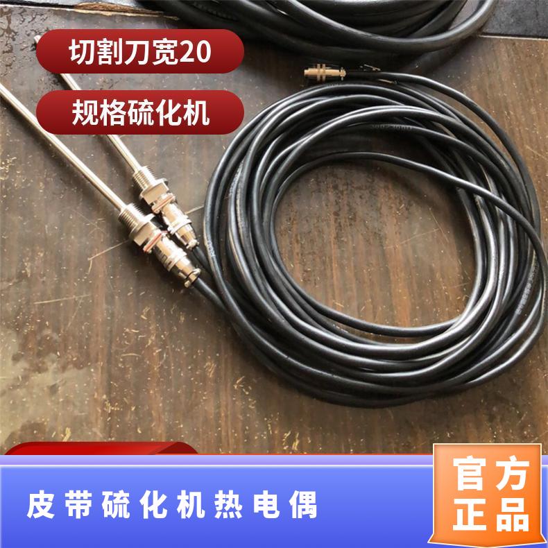 皮带硫化机热电偶 线长5米 矿用DGLJL测温电阻