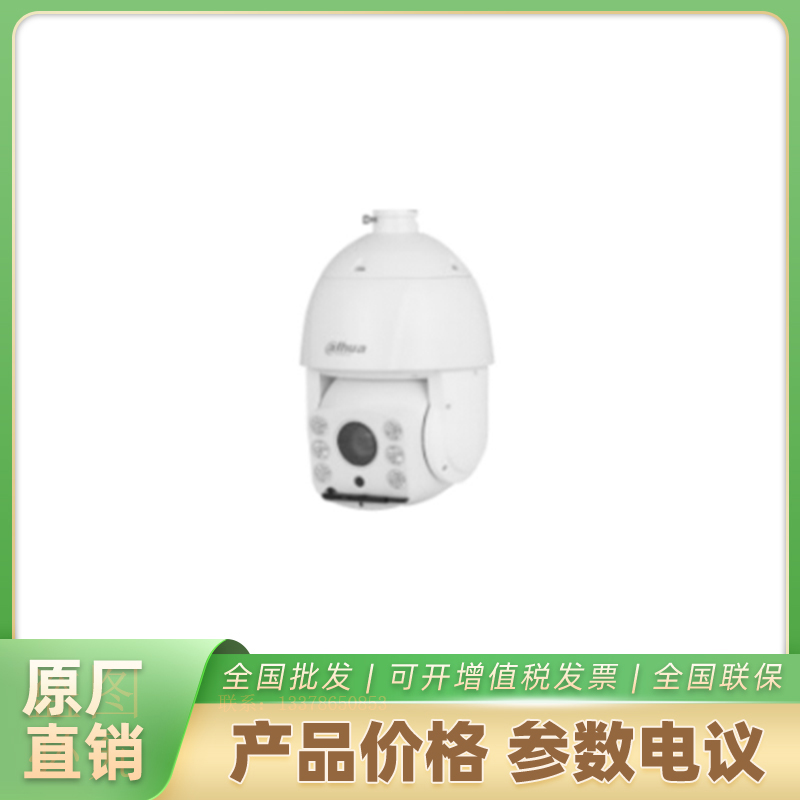 海康威视支持人脸检测DH-SD-6C1425-HNY-DB-D2