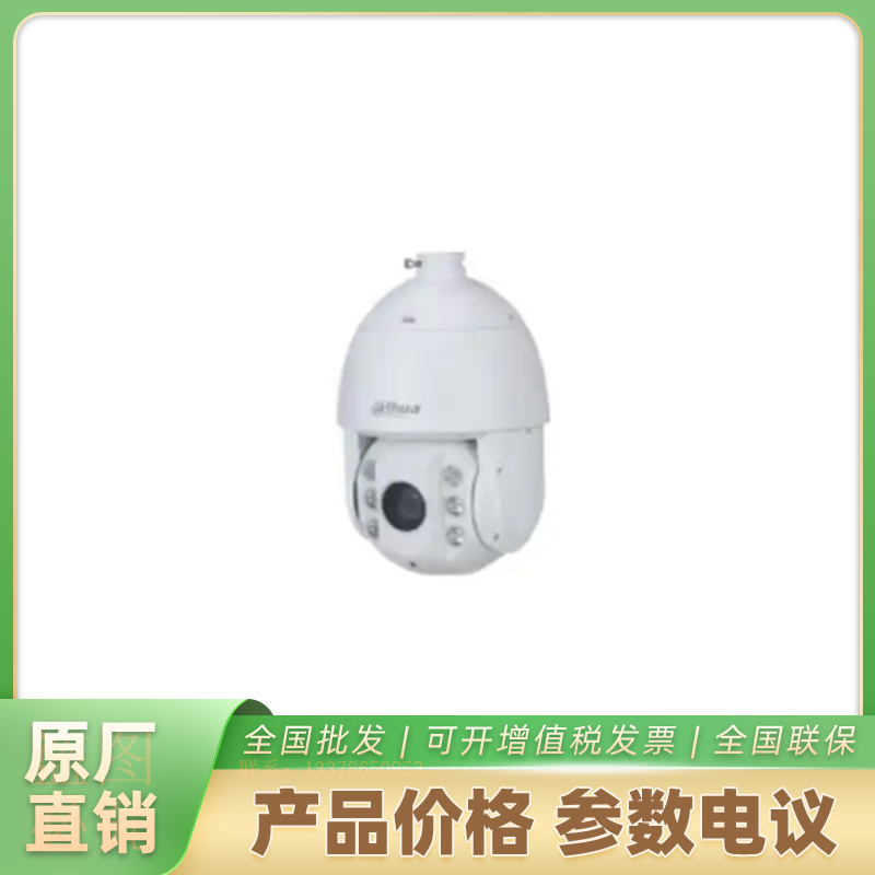 海康威视支持抓拍DH-SD-6C3232-HNY-DB-EFR