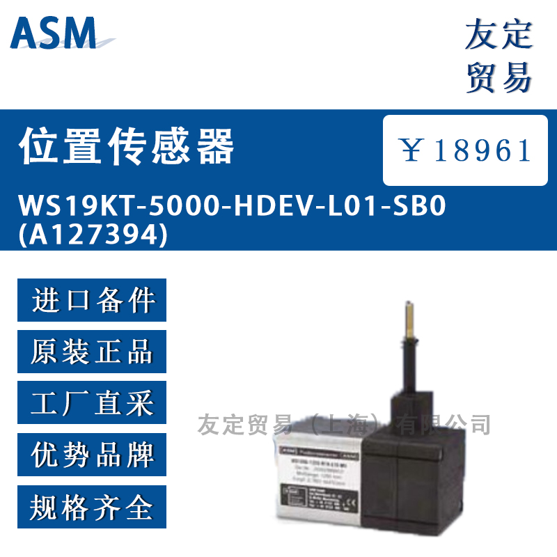 ASM WS19KT-5000-HDEV-L01-SB0 A127394