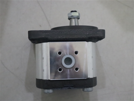 0510525009  AZPF-11-011RCB20MB 德国REXROTH力士乐齿轮泵