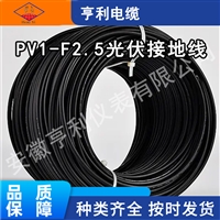 150ƽ��PV1����ͭ˿̫���ܹ������ŷ��2PFG 1169������׼