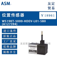 ASM WS19KT-5000-HDEV-L01-SB0 A127394