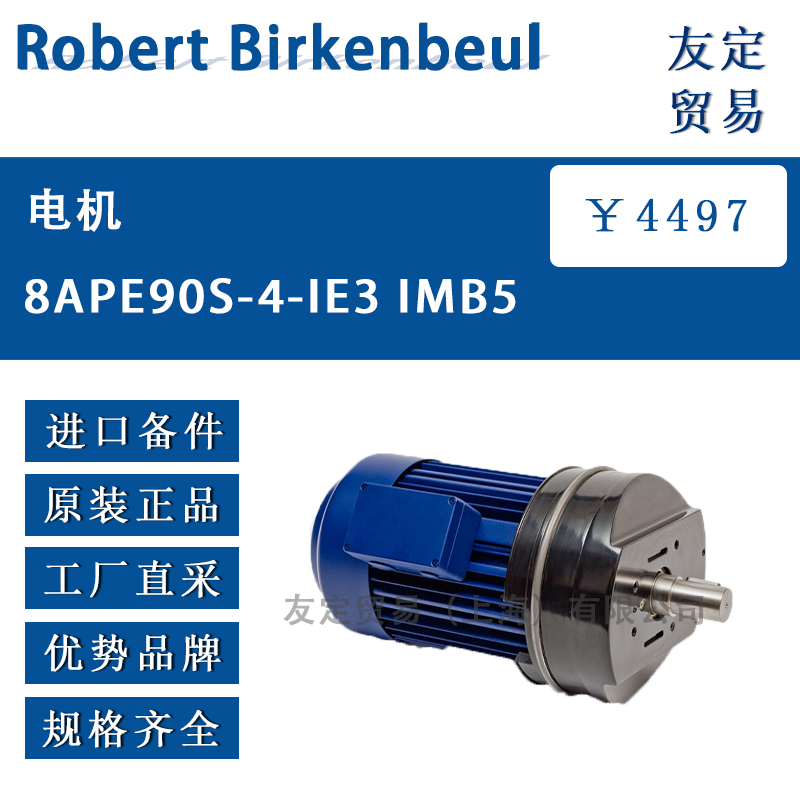 Robert Birkenbeul 8APE90S-4-IE3 IMB5 电机