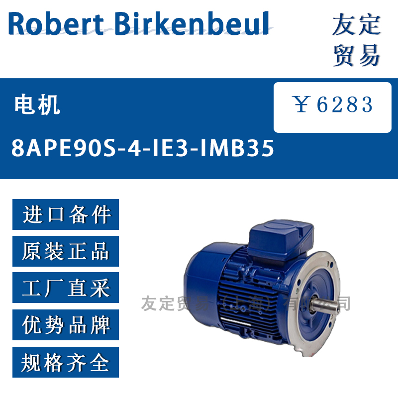 Robert Birkenbeul 8APE90S-4-IE3-IMB35电机