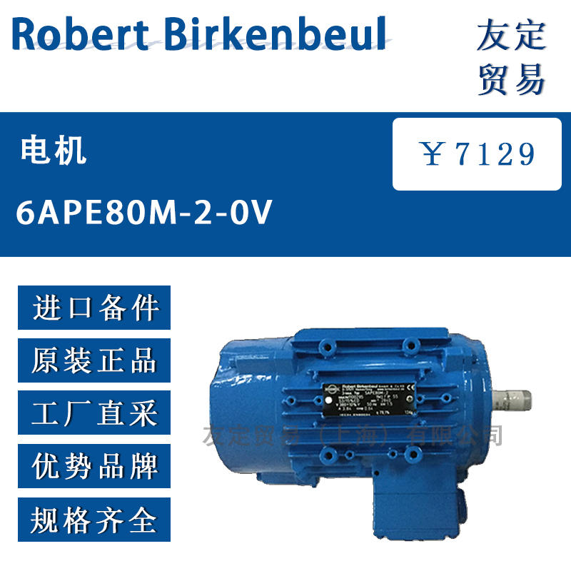 Robert Birkenbeul 6APE80M-2-0V电机