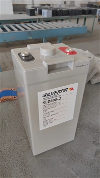 德国银杉DETAdryflex蓄电池2VEG500参数