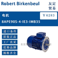 Robert Birkenbeul 8APE90S-4-IE3-IMB35电机