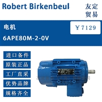 Robert Birkenbeul 6APE80M-2-0V电机