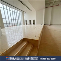 斯博凯 舞蹈房地板 防滑耐磨 枫桦木地板 全国包邮