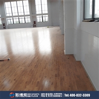 斯博凯 室内定制运动木地板 防滑耐磨无异味 枫桦木