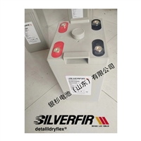 德国银杉SILVERFIR蓄电池 2VEG260 阀控铅酸免维护电池