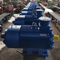 防爆外壳三相异步电机 YBUS-315掘进机用三相异步电动机
