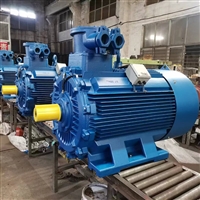 重量轻防爆电机 体积小三相防爆电机 YBS-110A660/1140防爆电机
