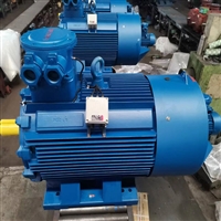 性能稳定 三相异步电动机 YBS-200G13300三相异步电动机