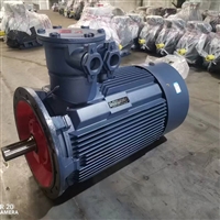 加厚外壳三相异步电动机 寿命长 YBSS-250A1140 三相异步电动机