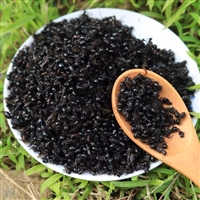 中药材黑蚂蚁 拟黑多刺蚁精选无硫无添加