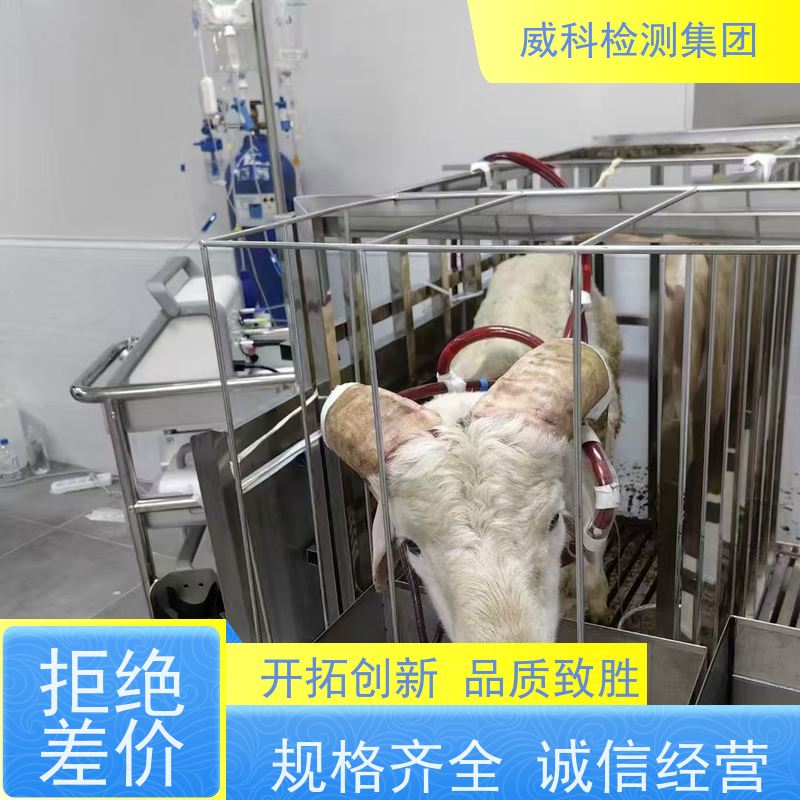 威科检测ECMO 对宠物用品进行安全材质测试的专业设备