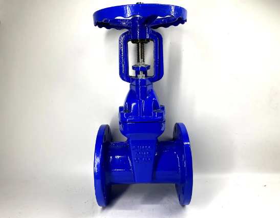 Z41X手动明杆闸阀 DN50 DN65 DN80 DN100