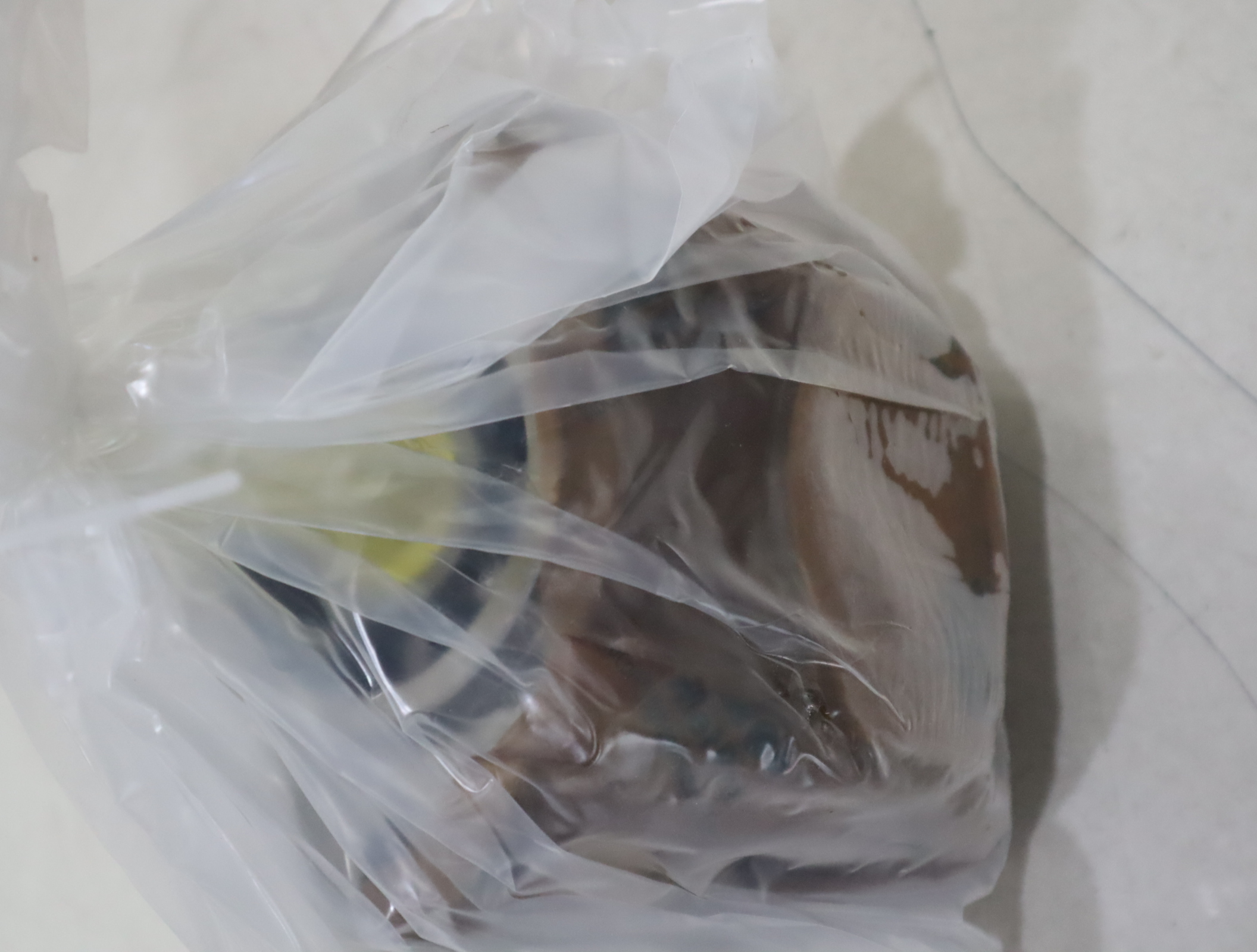 PGH4-31/050RE11VU2 R901147104 德国力士乐REXROTH齿轮泵