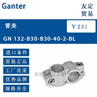 Ganter GN 132-B30-B30-40-2-BL管夹