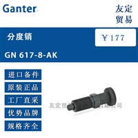 Ganter GN 617-8-AK分度销