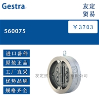 Gestra 560075