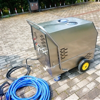 操作简单 移动蒸汽清洗机  闯王手推式CWD18A蒸汽机厂家