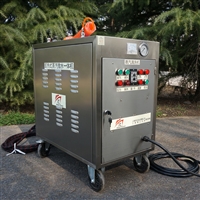 工业清洗机 闯王手推式CWD12A-1蒸汽机  汽车轮胎清洗设备