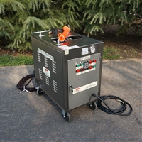 蒸汽洗车机 闯王CWD12A-1蒸汽清洗机  汽车轮胎清洗设备