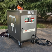 蒸汽微水一体机 汽车轮胎清洗  闯王CWD12A-1手推式蒸汽机厂家