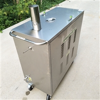 流动清洗服务 闯王CWR09A燃气蒸汽机 油污清洗机设备