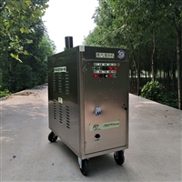 干湿调节 闯王CWR09A蒸汽清洗机 移动清洗机设备