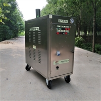 汽车清洗机  闯王CWR09A移动燃气蒸汽机厂家