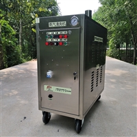 汽车蒸汽清洗机  闯王CWR09A蒸汽清洗机厂家