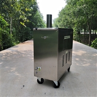 闯王CWR09A燃气蒸汽机  移动清洗机设备