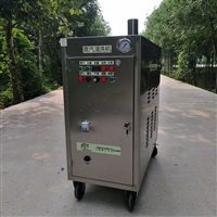 操作简单 闯王CWR09A蒸汽清洗机 油污清洗机设备