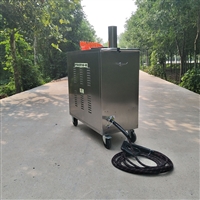 闯王CWR09A蒸汽清洗机  发动机清洗设备