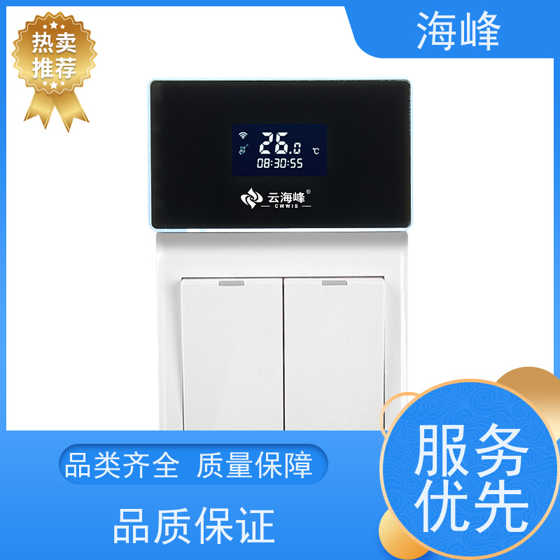 二网物联网室温采集器可通讯4G NBIOT插座型大屏幕显示