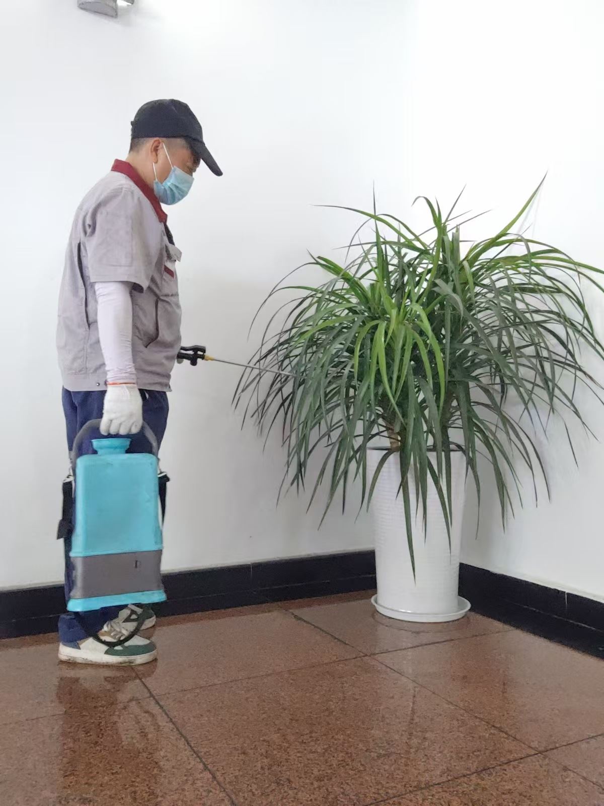 内江市东兴区写字楼灭蟑螂价格