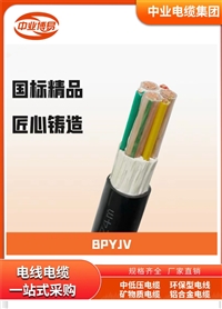 DYJVYV计算机拖链电缆16芯05平方